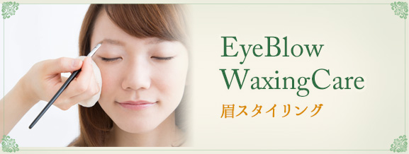 EyeBlow WaxingCare 眉スタイリング