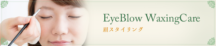 EyeBlow WaxingCare 眉スタイリング